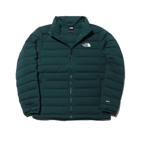 the north face ashton fz jacket