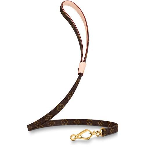 루이비통LAISSE BAXTER GM MNG marron LOUIS VUITTON