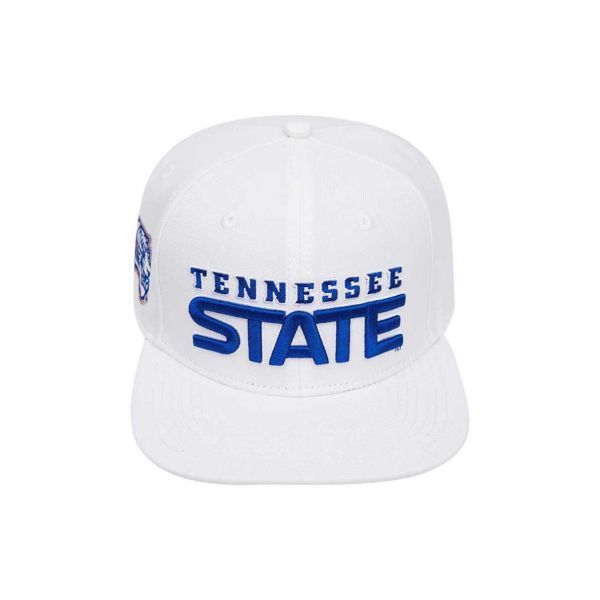 Men's Pro Standard White Coppin State Eagles Evergreen Wool Snapback Hat