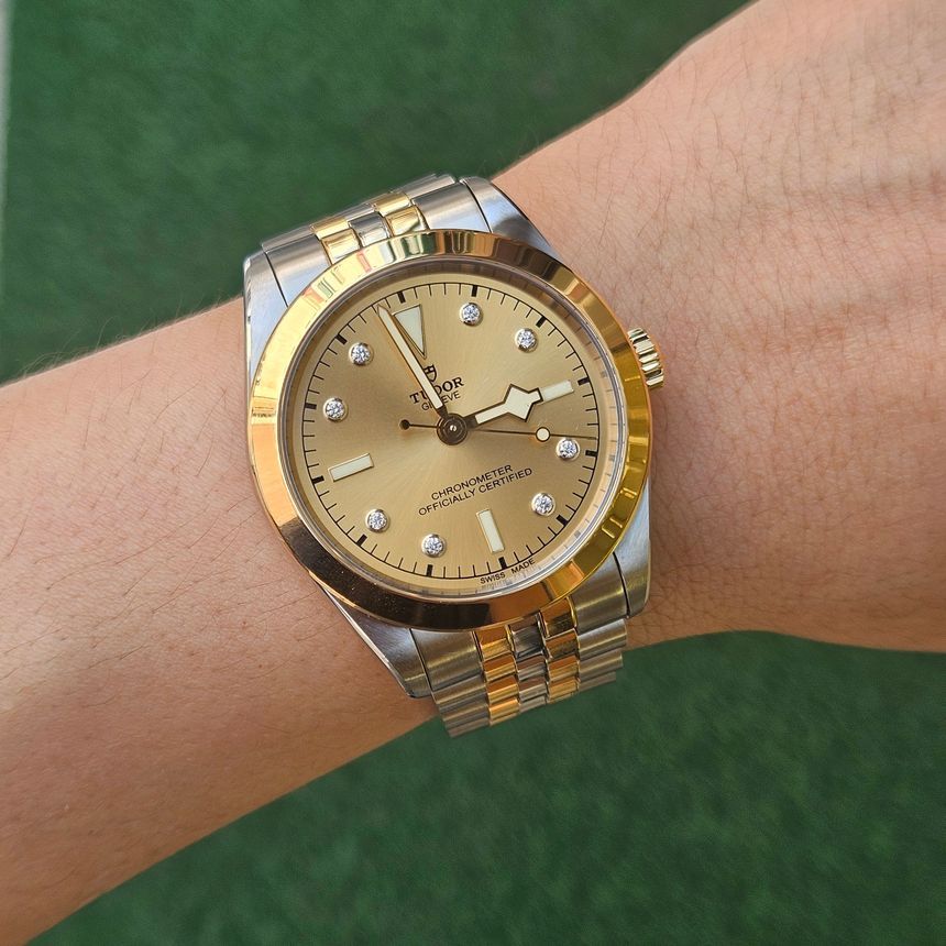 【公式ショップ】 Bay Black Tudor 39 79663 Dia Champagne S&G Watch Combi Men's ぬいぐるみ