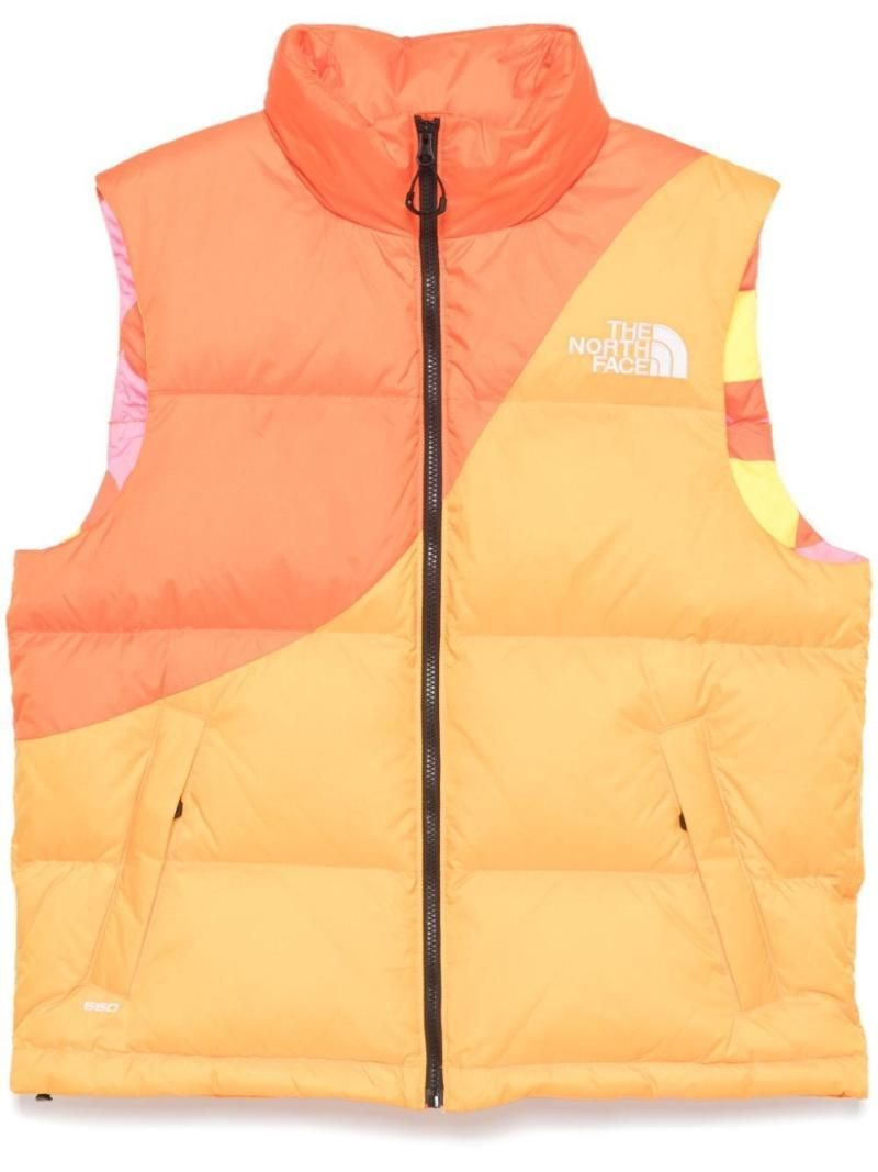 Other Brand | THE NORTH FACE NF0A89GE 0IH the north face x