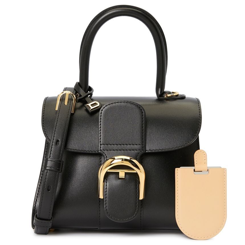 Delvaux Brian Mini AA0406AAM099ZDO Women's Tote and Shoulder