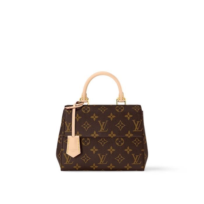Louis Vuitton Cluny Mini Monogram M46055 126804095 | eBay display picture 2