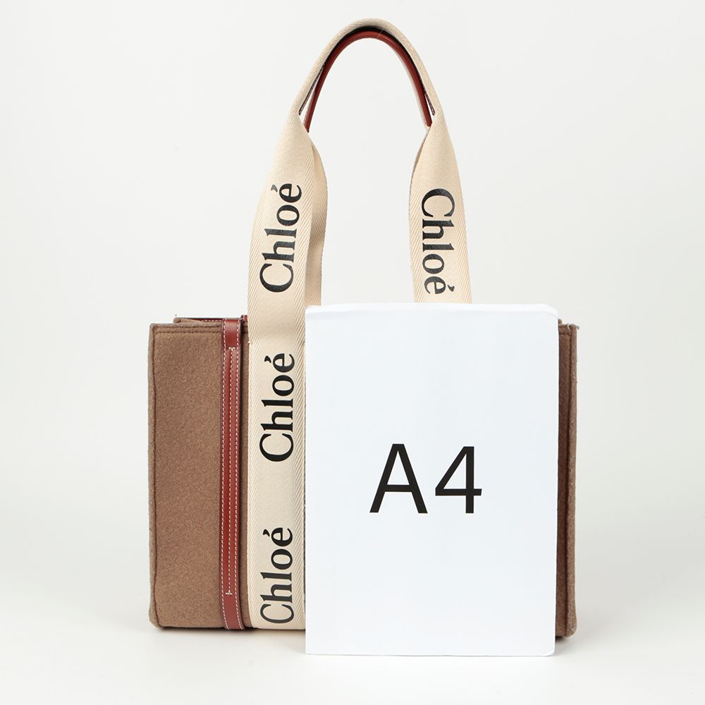 【関税&送料込】Chloe Bags Chloe＊ キャンバス製 Carryスモールトートバッグ 関税送料込