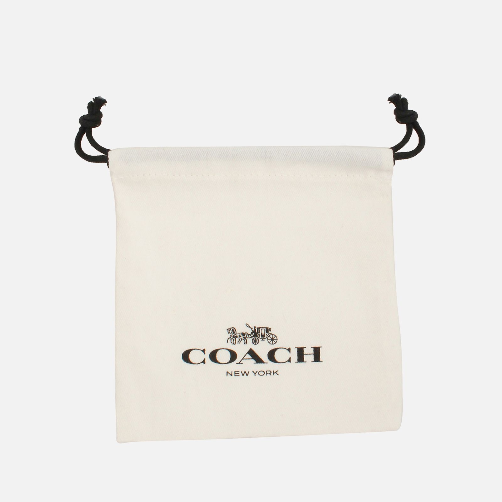 코치 에센셜 플레이트 귀걸이 Coach Core Essentials Plated Earrings 14259005