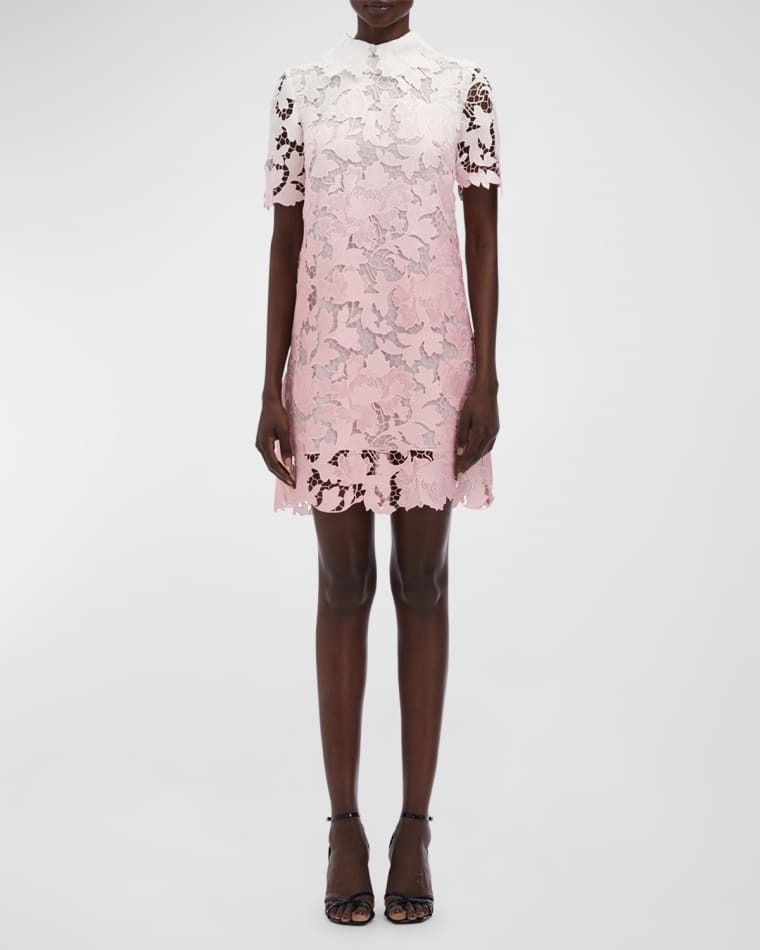 반팔 옴브레 미니 시프트 드레스 Short-Sleeve Ombre Peony Guipure Mini Shift Dress prod274260132SOFT PINK
