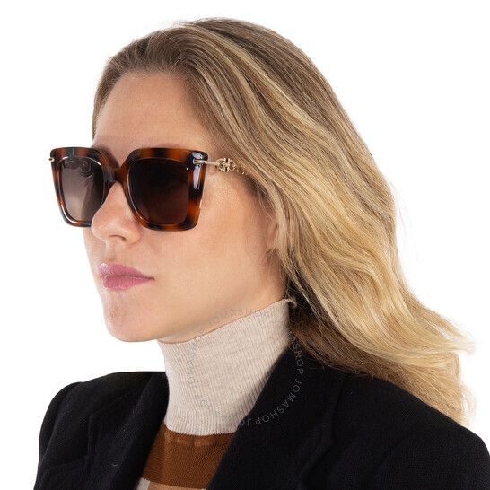 살바토레 페라가모 브라운 그라디언트 버터플라이 여성 선글라스 Salvatore Ferragamo Brown Gradient Butterfly Ladies Sunglasses SF1041S 238 51 SF1041S 238 51