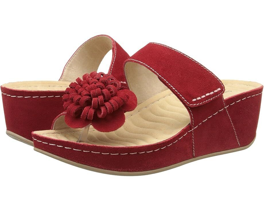 여성 Women's David Tate Jolly  8478716585