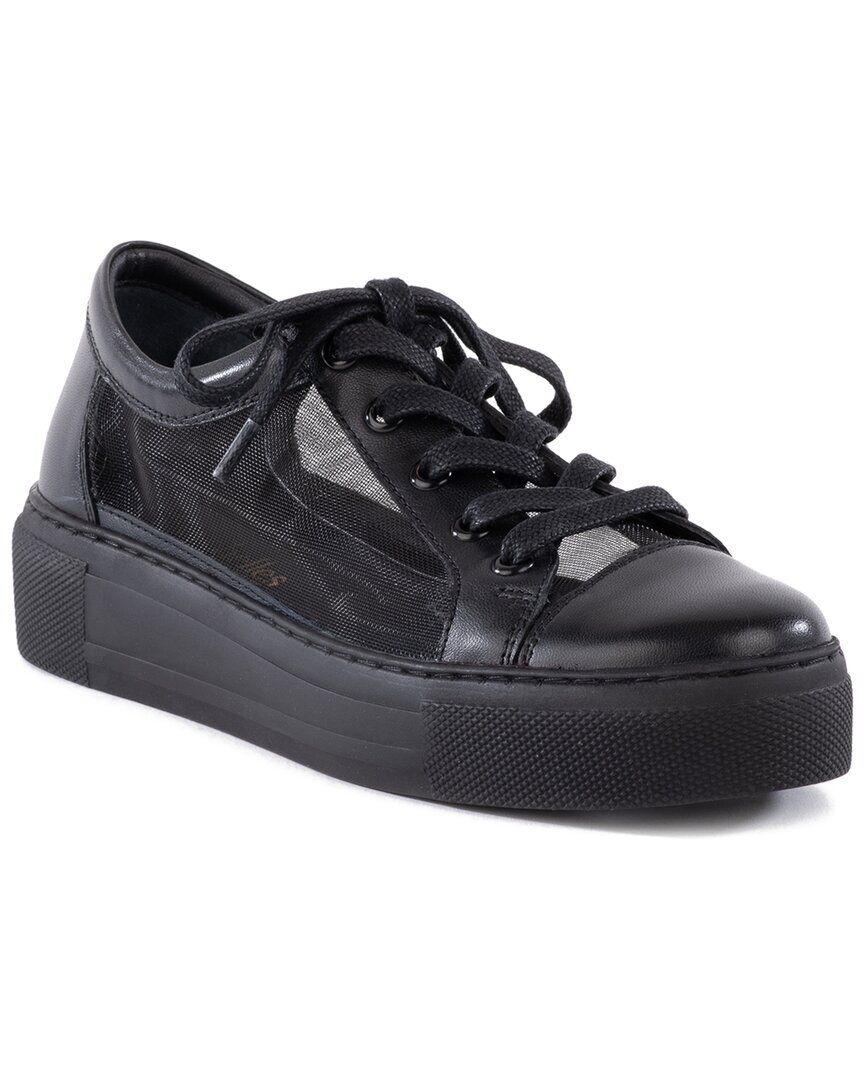 포레버 가죽 메쉬 스니커즈 Seychelles Forever Young Leather & Mesh Sneaker 1311352290