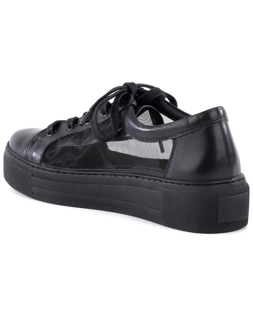 포레버 가죽 메쉬 스니커즈 Seychelles Forever Young Leather & Mesh Sneaker 1311352290