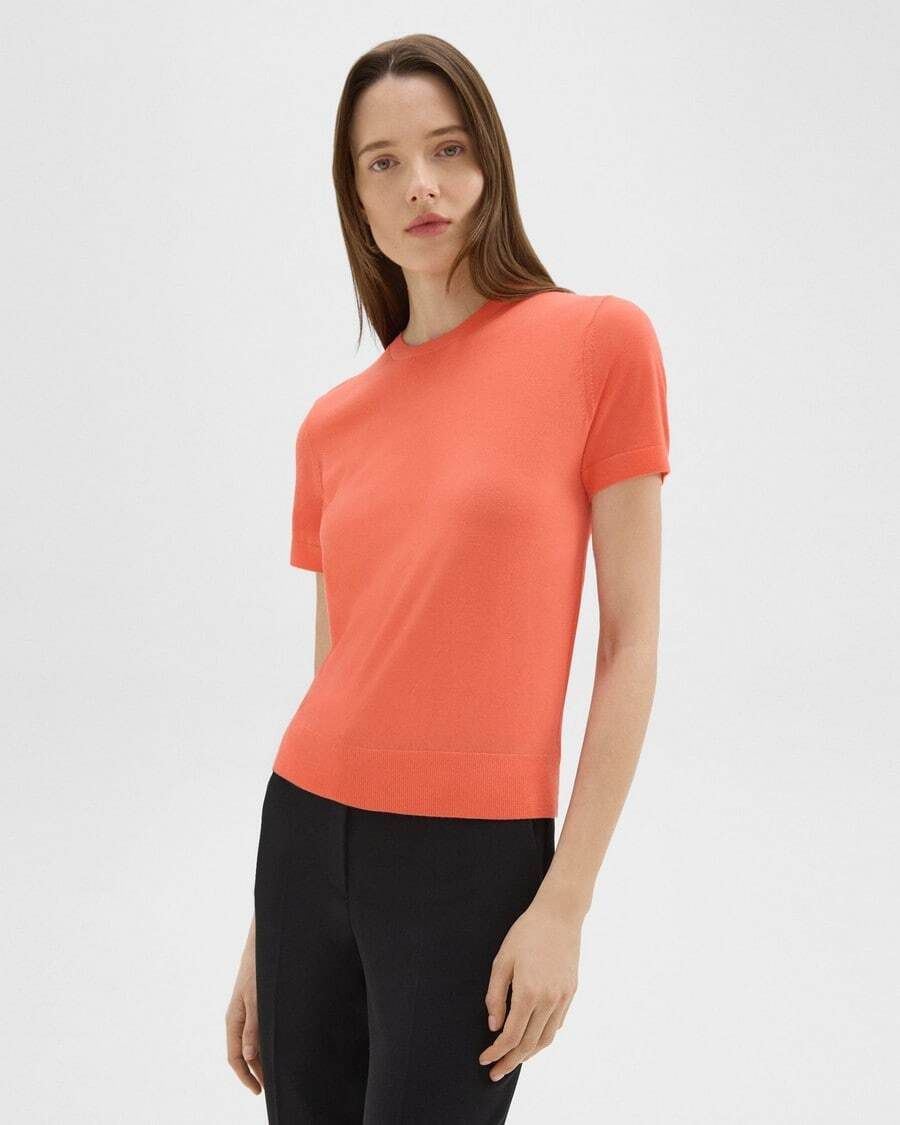 스웨터 티셔츠 울 Sweater Tee in Regal Wool I1211701 SQP