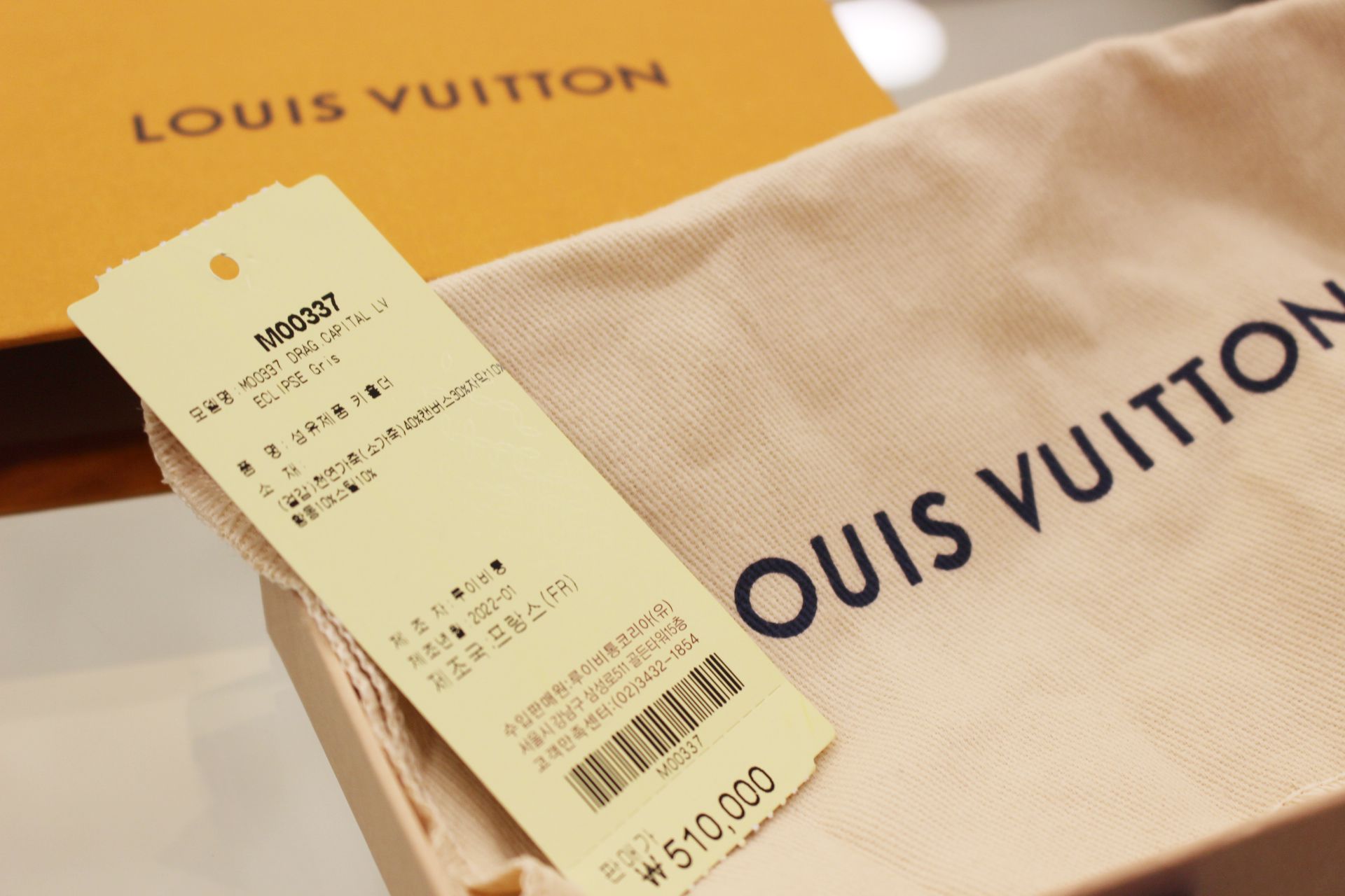 Louis Vuitton Capital lv bag charm and key holder (M00337)