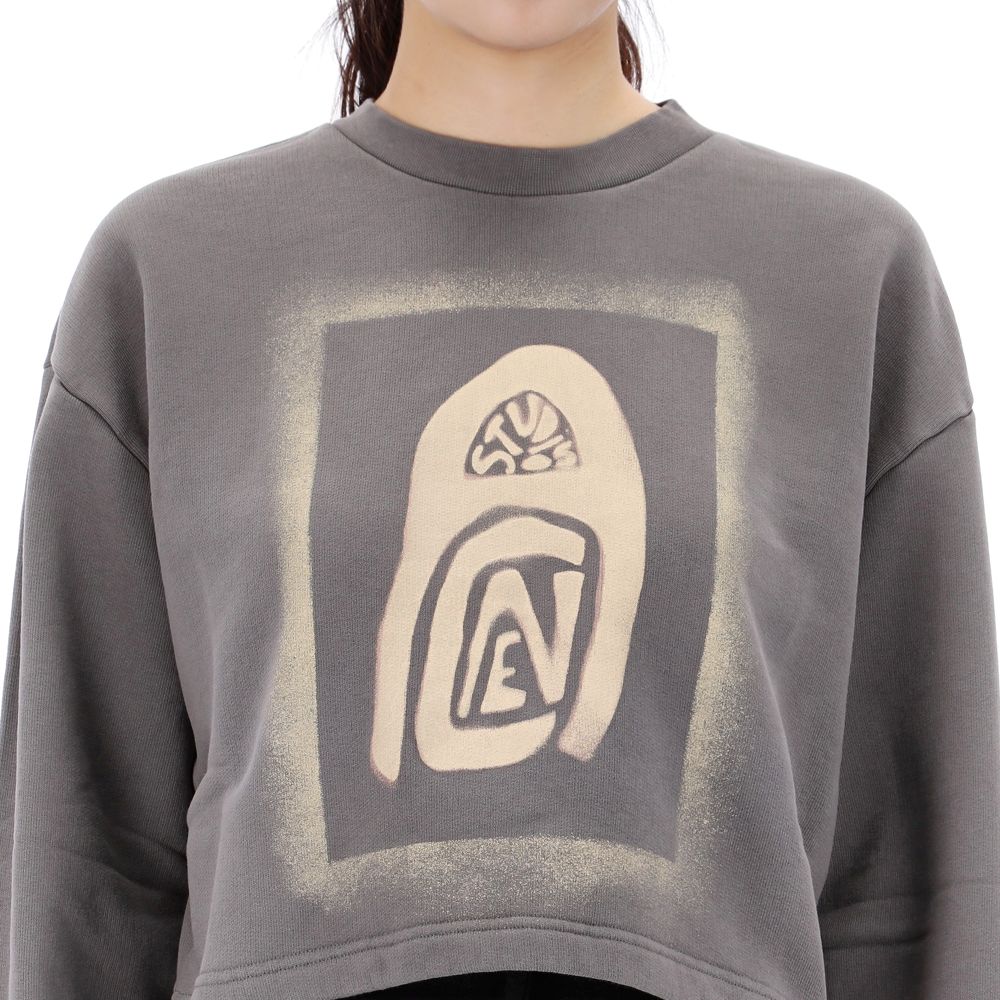 Acne Studios Logo Print Cropped Oversized Sweatshirt AI0118